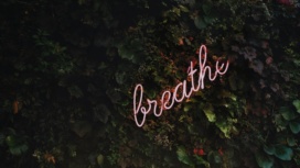 Tim goedhart vnp T Rdmt Q30 unsplash